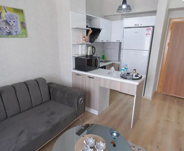 Classic Ts23 이스탄불