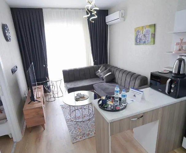 Classic Ts23 Apartamento Estambul