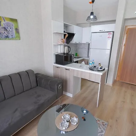 Classic Ts23 Provincia di Istanbul